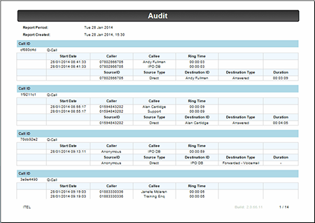 Audit report example